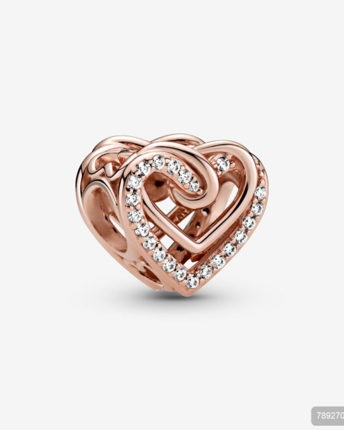 PANDORA PRIVJESAK 789270C01