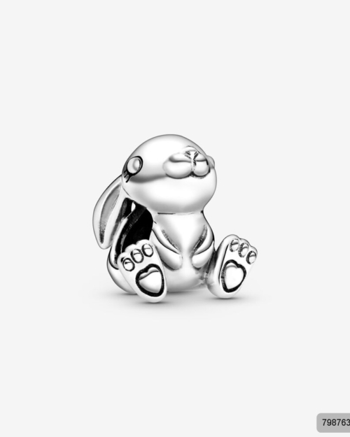 PANDORA PRIVJESAK 798763C00
