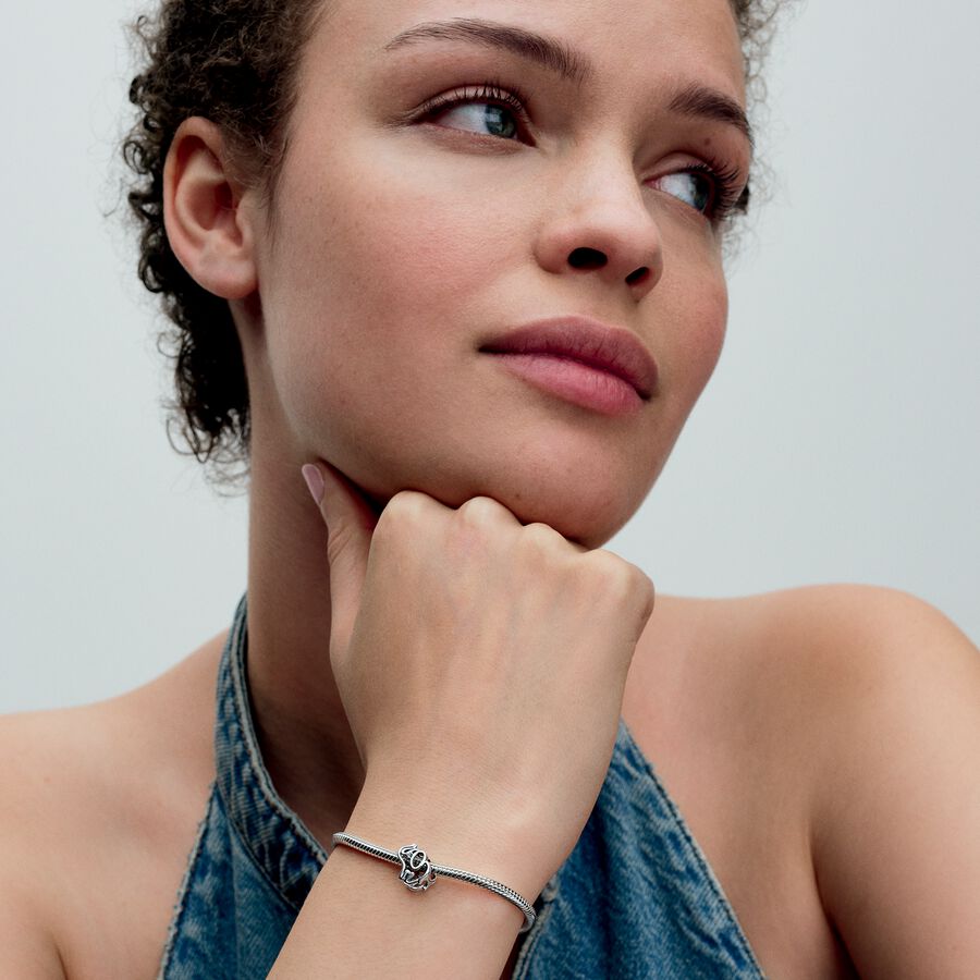 PANDORA PRIVJESAK 793345C01 - Image 3