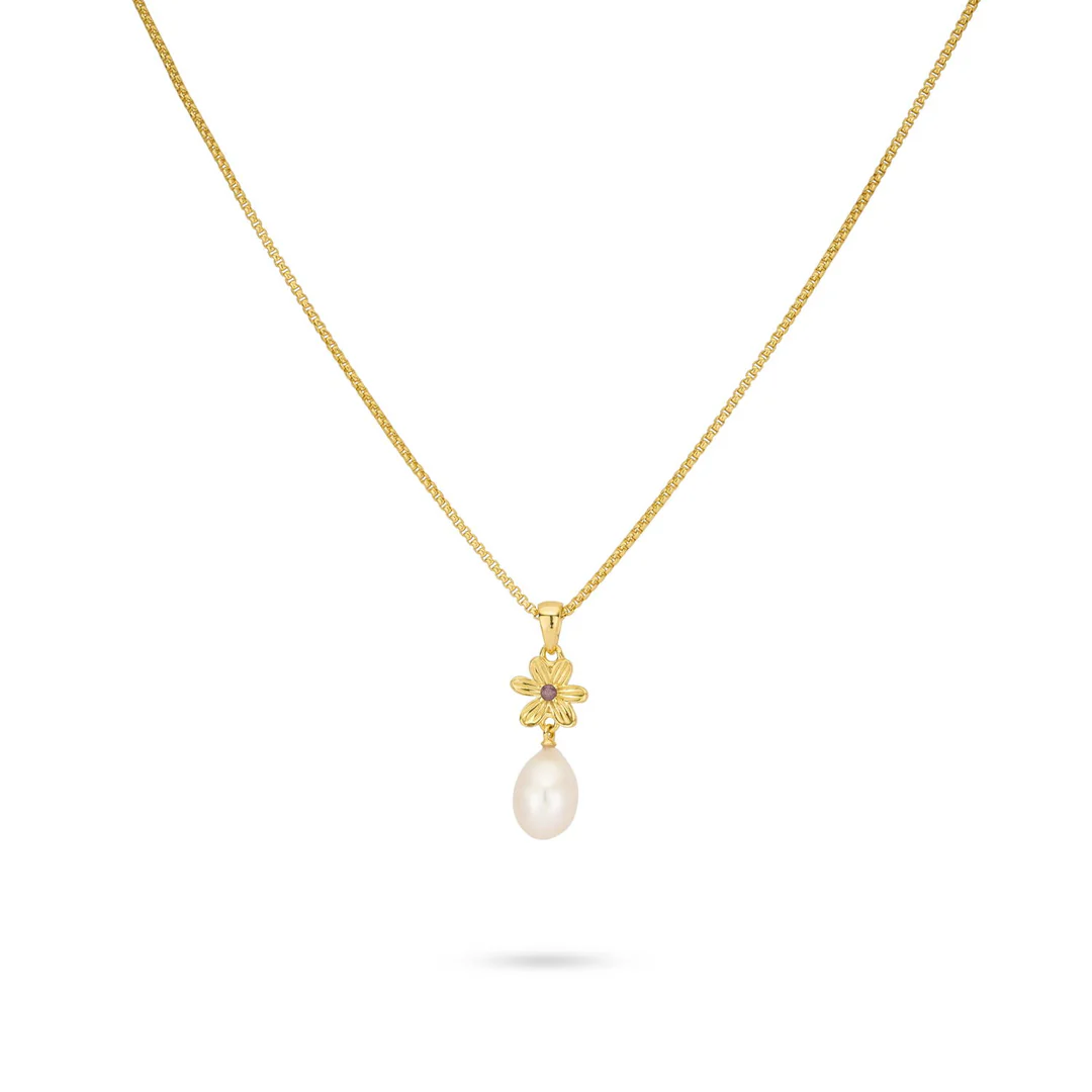 24KAE OGRLICA 32488Y