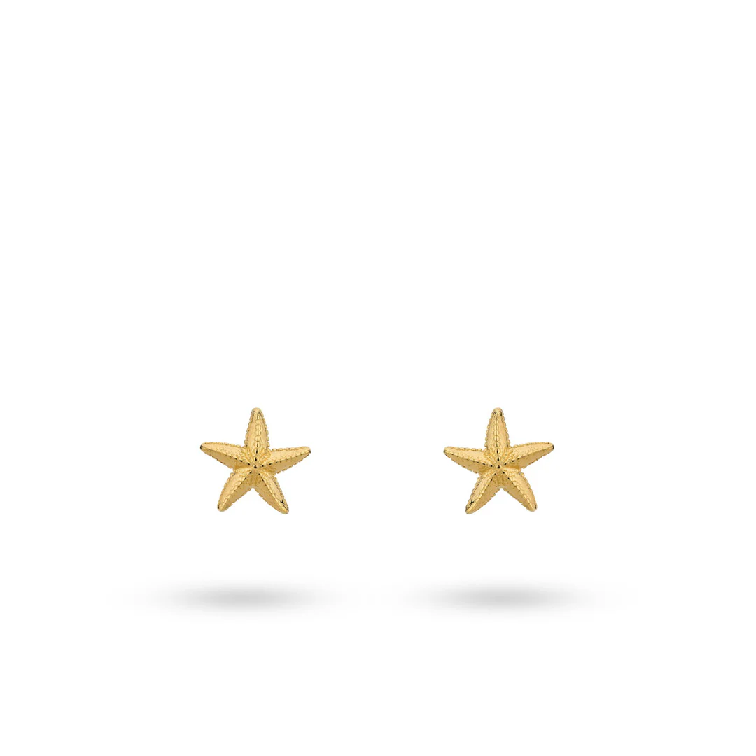 24KAE NAUŠNICE 42489Y