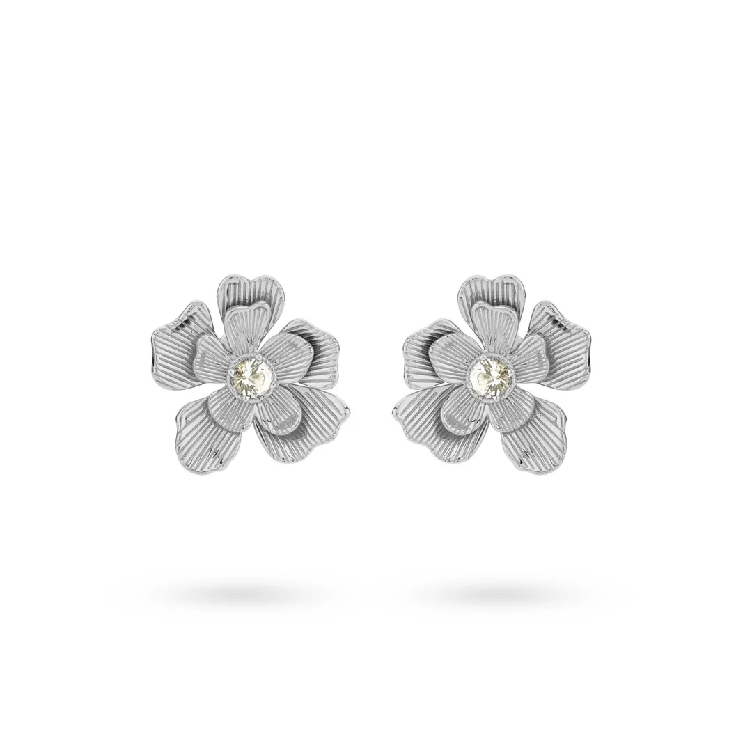 24KAE NAUŠNICE 42496S