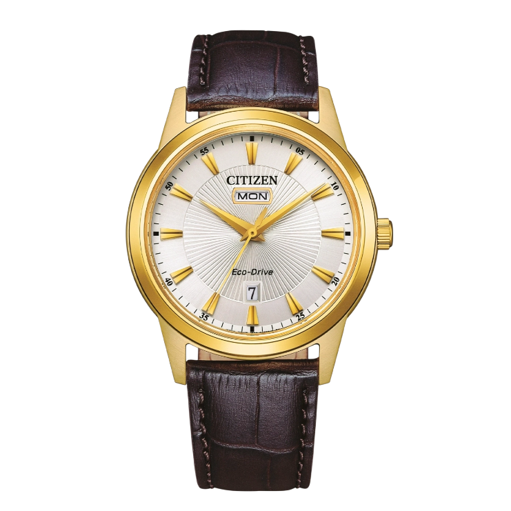 CITIZEN AW0102-13AC